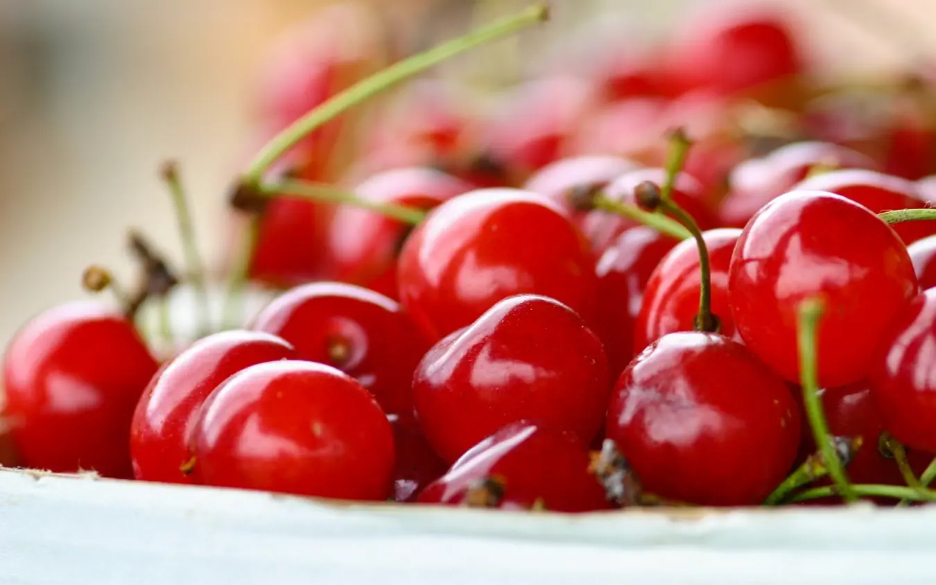 Cherries